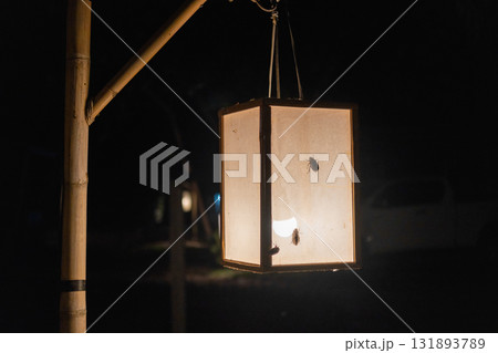 Bamboo lamp post with the bug, at night 131893789