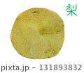 水彩風に描いた秋の果物　梨の新鮮なベクターイラスト素 131893832