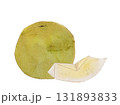 水彩風に描いた秋の果物　梨の新鮮なベクターイラスト素 131893833