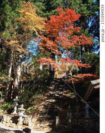急登な石段の続く神社の参道で色づき始めた紅葉の木々 131894939