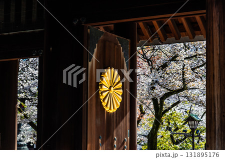 東京 靖国神社 神門の菊の御紋章と桜 東京 靖国神社 神門の菊の御紋章と桜 131895176