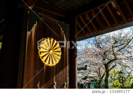 東京 靖国神社 神門の菊の御紋章と桜 東京 靖国神社 神門の菊の御紋章と桜 131895177