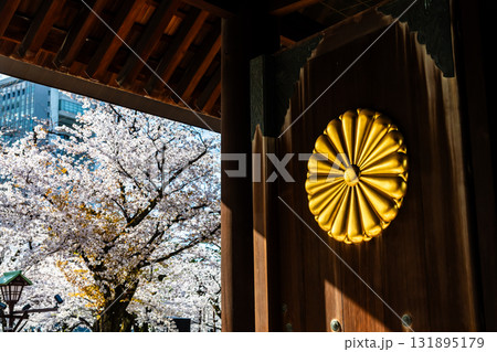 東京 靖国神社 神門の菊の御紋章と桜 東京 靖国神社 神門の菊の御紋章と桜 131895179