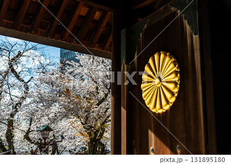 東京 靖国神社　神門の菊の御紋章と桜 131895180
