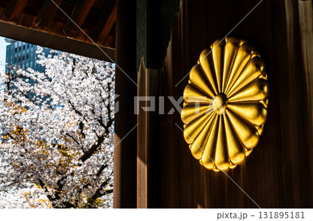 東京 靖国神社　神門の菊の御紋章と桜 131895181