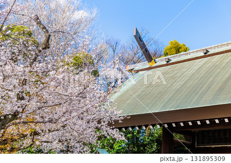 東京 靖国神社　神門と桜 131895309