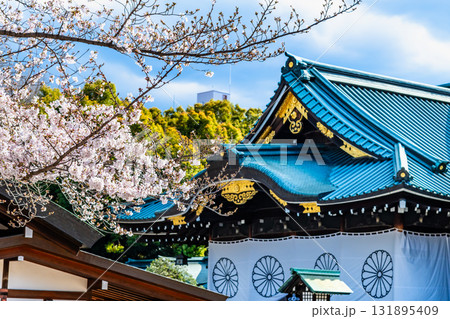 東京 靖国神社 拝殿と桜 東京 靖国神社 拝殿と桜 131895409