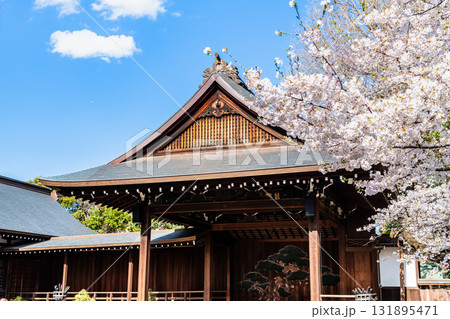 東京 靖国神社　能楽堂と桜 131895471
