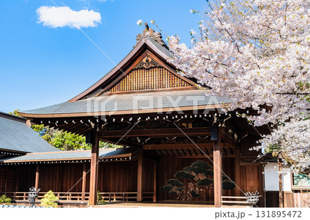 東京 靖国神社 能楽堂と桜 東京 靖国神社 能楽堂と桜 131895472