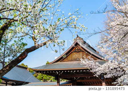 東京 靖国神社　能楽堂と桜 131895473