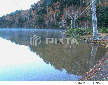 Lake Onuma / 晩秋から初冬へ移る早朝の湖面の風景~無風の大沼池,志賀高原国立公園 Lake Onuma / 晩秋から初冬へ移る早朝の湖面の風景~無風の大沼池,志賀高原国立公園 131895728