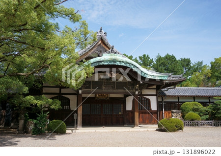 建中寺　緑に囲まれた客殿 131896022