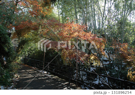 晩秋から初冬の京都旅行～初雪で雪化粧した京都の里山の小径，竹林と紅葉の木々(小道・小路) 131896254