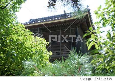 建中寺 緑に囲まれる鐘楼 建中寺 緑に囲まれる鐘楼 131896359