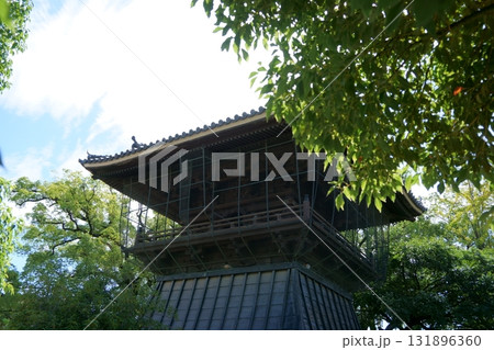 建中寺　緑に包まれた鐘楼 131896360