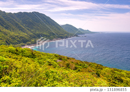 新緑が映える　西部林道地域　世界自然遺産屋久島 131896855
