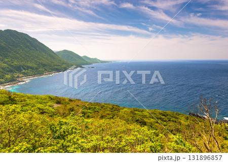 新緑が映える 西部林道地域 世界自然遺産屋久島 新緑が映える 西部林道地域 世界自然遺産屋久島 131896857