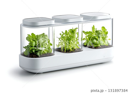 Modern Indoor Garden for Growing Fresh Herbs and Greens in Natural Light Modern Indoor Garden for Growing Fresh Herbs and Greens in Natural Light 131897384