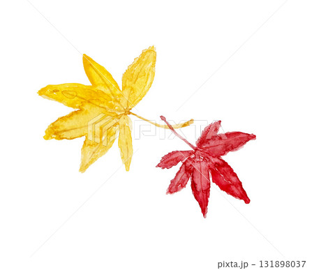 紅葉したカエデの葉のイラスト 131898037