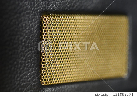 Golden Speaker Detail Golden Speaker Detail 131898371