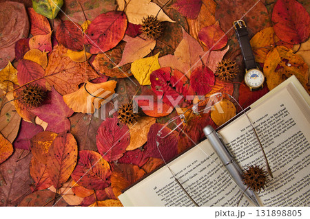 落ち葉のフレーム 131898805