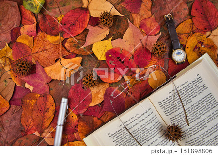 落ち葉のフレーム 落ち葉のフレーム 131898806