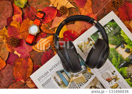 落ち葉のフレーム 131898836