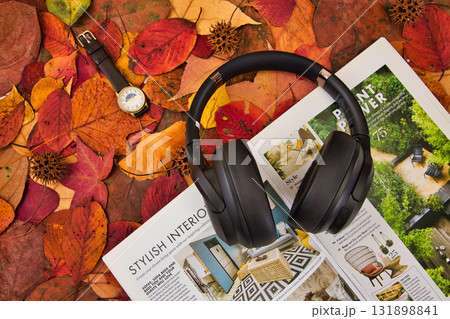 落ち葉のフレーム 131898841