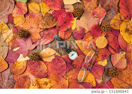 落ち葉のフレーム 131898843
