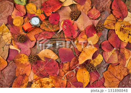 落ち葉のフレーム 131898848