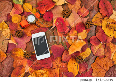 落ち葉のフレーム 131898849