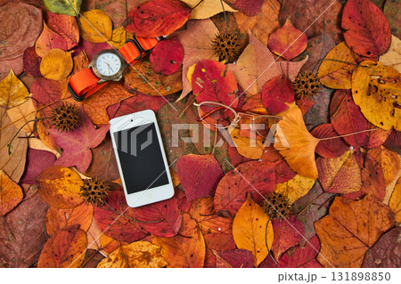 落ち葉のフレーム 131898850