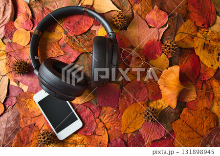 落ち葉のフレーム 131898945