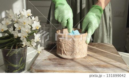 Woman transplant flower into new pot on table, care about plant at home on sunny day. Gardening tools. Nature and plant care. Interior design. Woman transplant flower into new pot on table, care about plant at home on sunny day. Gardening tools. Nature and plant care. Interior design. 131899042