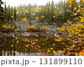 Peaceful waters of little lake in mountains and first snow in autumn. 131899110