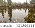 Peaceful waters of little lake in mountains and first snow in autumn. 131899111
