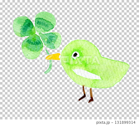 簡單的水彩畫，描繪了一片四葉草和一隻小鳥 131899314