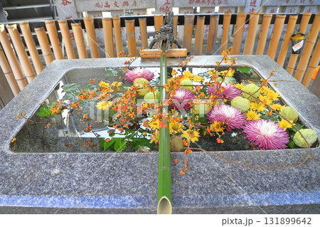 気象神社（氷川神社）　花手水　東京都杉並区高円寺　　 131899642