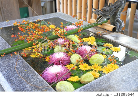 気象神社(氷川神社) 花手水 東京都杉並区高円寺 気象神社(氷川神社) 花手水 東京都杉並区高円寺 131899644