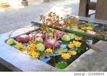 気象神社（氷川神社）　花手水　東京都杉並区高円寺　　 131899645