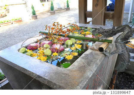 気象神社(氷川神社) 花手水 東京都杉並区高円寺 気象神社(氷川神社) 花手水 東京都杉並区高円寺 131899647