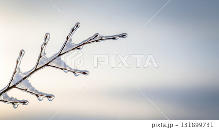 Winter background with tree branch covered in ice after freezing rain. Minimalist nature closeup with frozen twig against bright sky for cold weather concept. 131899731
