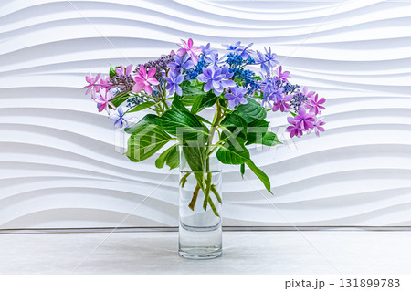 ガラスの花瓶に生けられたアジサイの花 ガラスの花瓶に生けられたアジサイの花 131899783