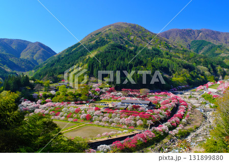 花桃の里 長野県阿智村 花桃の里 長野県阿智村 131899880