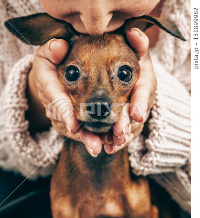 Closeup of woman kissing her beloved dog, owner holding tiny puppy face, concept of unconditional love and deep connection between human and animal 131899982