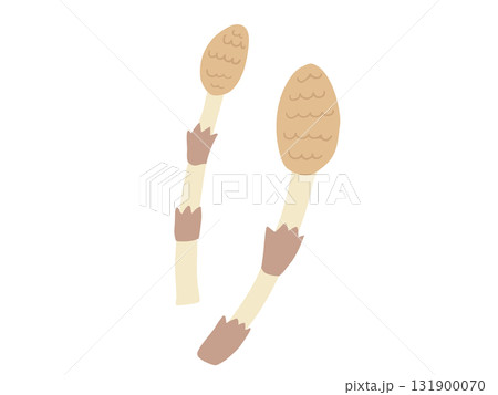 つくし 主線なし 131900070