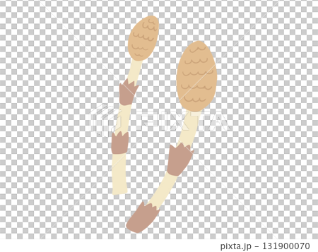 つくし 主線なし 131900070