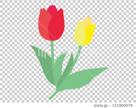 Tulip without main line Tulip without main line 131900079