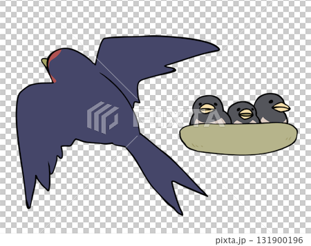 燕の子育て 131900196