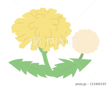 タンポポ 主線なし タンポポ 主線なし 131900197